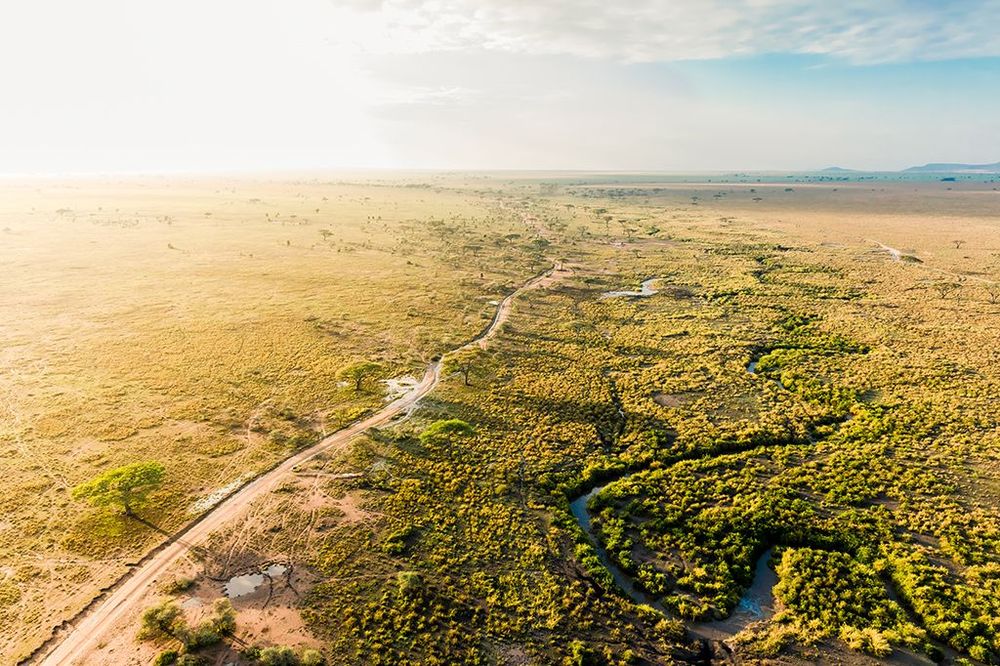 olden sunrise over the Serengeti plains in Tanzania